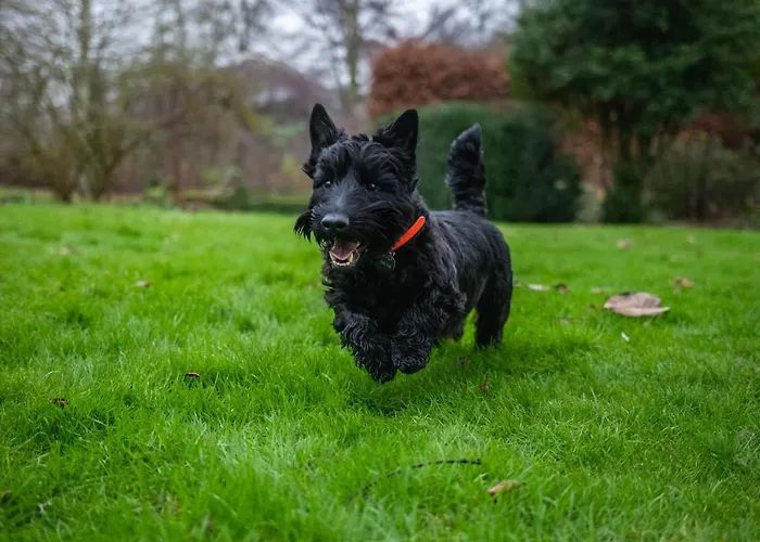 Tofy Semesterbostad *